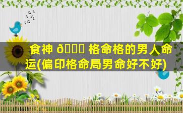 食神 🐛 格命格的男人命运(偏印格命局男命好不好)